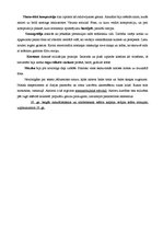 Konspekts 'Režisors pirmsrežijas laikmetā', 6.