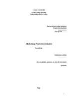 Referāts 'Mārketings SIA "Narvesen Baltija" veikalos', 1.