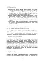 Biznesa plāns 'SIA "Magone"', 6.