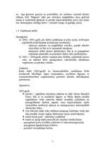 Biznesa plāns 'SIA "Magone"', 7.