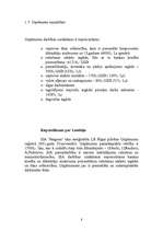 Biznesa plāns 'SIA "Magone"', 8.