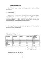 Biznesa plāns 'SIA "Magone"', 9.