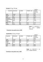 Biznesa plāns 'SIA "Magone"', 10.