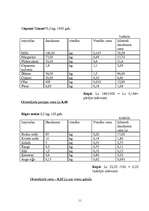 Biznesa plāns 'SIA "Magone"', 11.