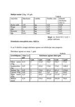 Biznesa plāns 'SIA "Magone"', 12.