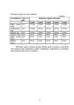 Biznesa plāns 'SIA "Magone"', 13.