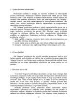 Biznesa plāns 'SIA "Magone"', 14.