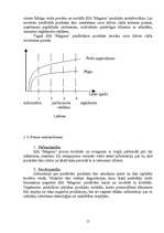Biznesa plāns 'SIA "Magone"', 15.