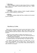 Biznesa plāns 'SIA "Magone"', 16.