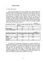 Biznesa plāns 'SIA "Magone"', 17.