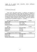 Biznesa plāns 'SIA "Magone"', 19.