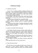 Biznesa plāns 'SIA "Magone"', 22.