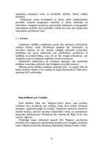 Biznesa plāns 'SIA "Magone"', 23.