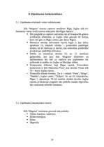 Biznesa plāns 'SIA "Magone"', 24.