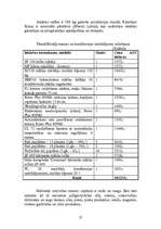 Biznesa plāns 'SIA "Magone"', 27.