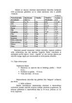 Biznesa plāns 'SIA "Magone"', 28.