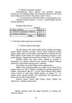 Biznesa plāns 'SIA "Magone"', 29.