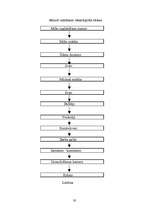 Biznesa plāns 'SIA "Magone"', 30.