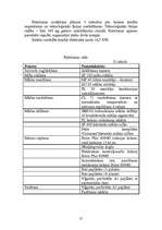 Biznesa plāns 'SIA "Magone"', 31.