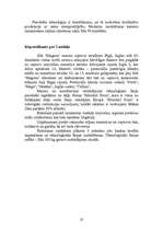 Biznesa plāns 'SIA "Magone"', 32.