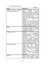 Biznesa plāns 'SIA "Magone"', 36.