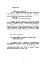 Biznesa plāns 'SIA "Magone"', 40.