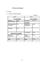 Biznesa plāns 'SIA "Magone"', 41.