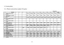 Biznesa plāns 'SIA "Magone"', 45.