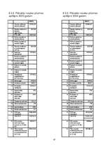 Biznesa plāns 'SIA "Magone"', 47.