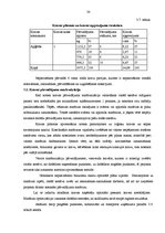 Diplomdarbs 'Piegādes maršrutu optimizācija mazpartiju kravām', 38.