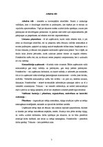 Konspekts 'Atbalsta stils', 3.