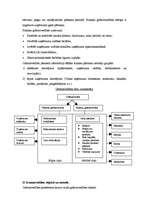 Konspekts 'Grāmatvedības jēdziens un būtība', 2.