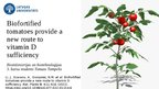 Prezentācija 'Biofortified tomatoes provide a new route to vitamin D sufficiency', 1.