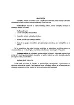 Referāts 'Videospēļu ietekme uz cilvēku', 3.