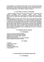 Referāts 'Videospēļu ietekme uz cilvēku', 15.