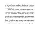 Referāts 'Trauksmes celšanas gadījuma analīze: 2006.gada Saeimas vēlēšanu rezultātu viltoš', 7.