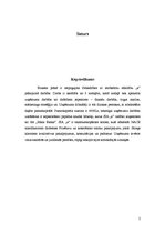 Biznesa plāns 'Biznesa plāns', 2.