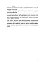 Biznesa plāns 'Biznesa plāns', 9.