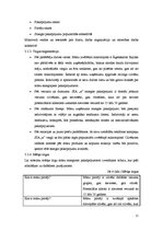 Biznesa plāns 'Biznesa plāns', 11.