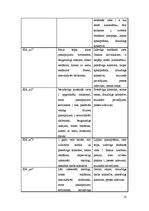 Biznesa plāns 'Biznesa plāns', 13.