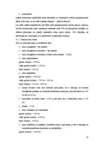 Biznesa plāns 'Biznesa plāns', 16.