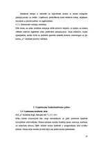 Biznesa plāns 'Biznesa plāns', 19.