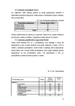 Biznesa plāns 'Biznesa plāns', 20.