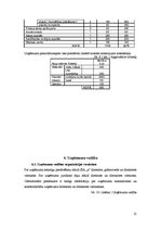 Biznesa plāns 'Biznesa plāns', 21.