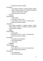 Biznesa plāns 'Biznesa plāns', 24.