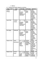 Biznesa plāns 'Biznesa plāns', 25.