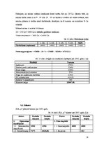 Biznesa plāns 'Biznesa plāns', 28.