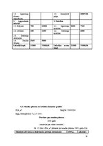 Biznesa plāns 'Biznesa plāns', 29.