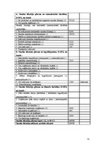 Biznesa plāns 'Biznesa plāns', 30.