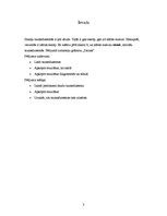 Referāts 'Skaitlis latviešu folklorā', 3.